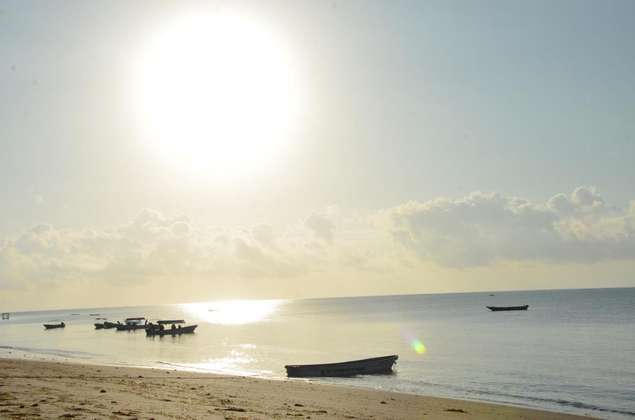 Lui Ushongo Beach House Pangani Buitenkant foto